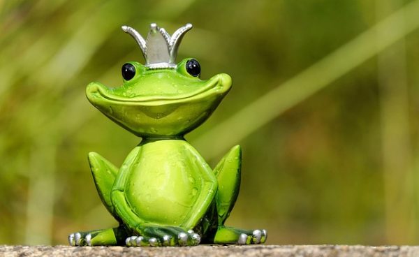 5 סיבות שכל מקדם אתרים חייב להשתמש במערכת של Screaming Frog